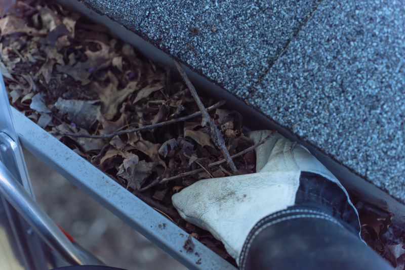 Maintenance of Gutter Systems