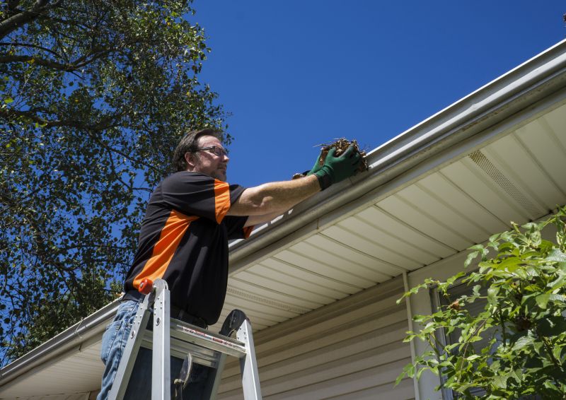 Gutter Cleaning Service