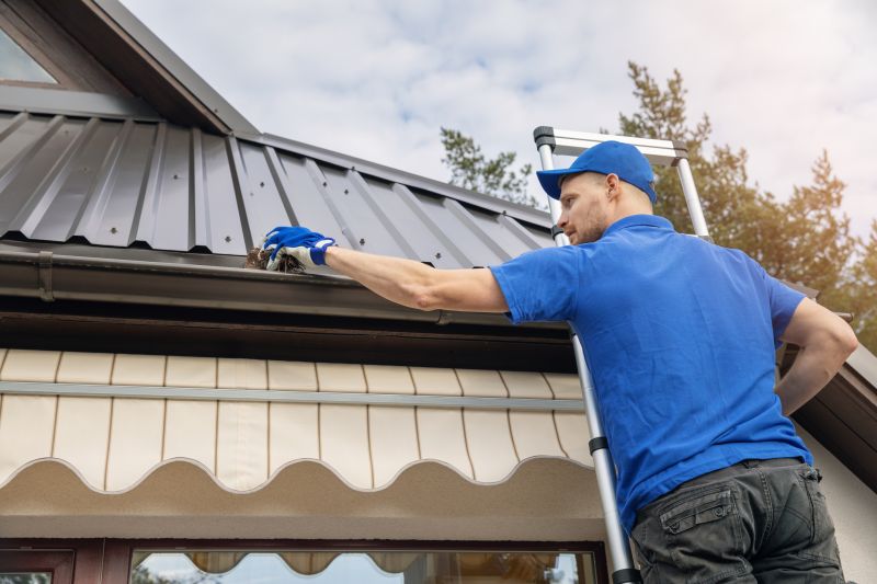 Handyman Services for Gutter Care